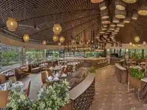 Big Banyan Vineyard & Resort