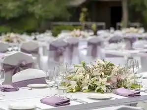 Big Banyan Vineyard & Resort